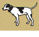 Motter Catherine - Sydney Vets
