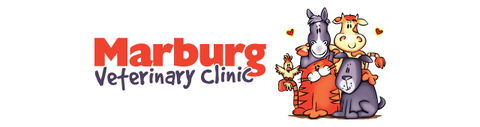 Marburg Veterinary Clinic - Sydney Vets 0