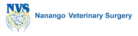 Nanango Veterinary Surgery - Sydney Vets 0