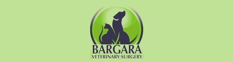 Bargara Veterinary Surgery - Sydney Vets 0