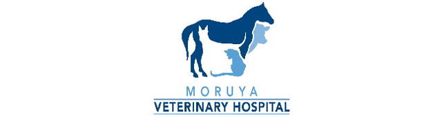 Kiora NSW Sydney Vets