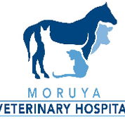 Moruya Veterinary Hospital - Sydney Vets