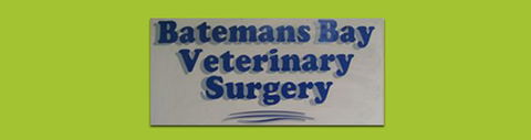 Batemans Bay Veterinary Surgery - Sydney Vets 0