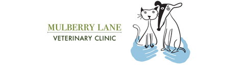 Mulberry Lane Veterinary Clinic - Sydney Vets 0