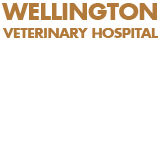Wuuluman NSW Sydney Vets