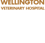 Wellington Veterinary Hospital - Sydney Vets