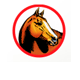 Equine Veterinary And Dental Services - Sydney Vets