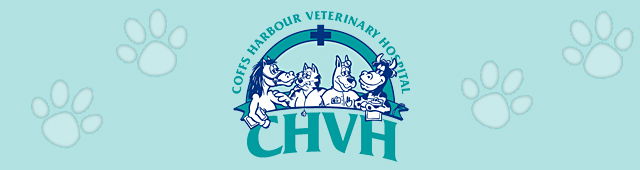 Coffs Harbour NSW Sydney Vets