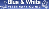 Blue  White Veterinary Clinic - Sydney Vets