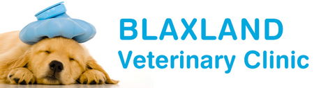 Blaxland Veterinary Clinic - Sydney Vets 0