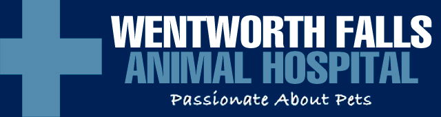 Wentworth Falls NSW Sydney Vets