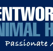 Wentworth Falls Animal Hospital - Sydney Vets