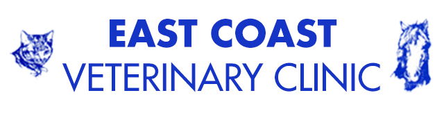 St Helens TAS Sydney Vets