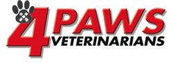 Toolakea QLD Sydney Vets
