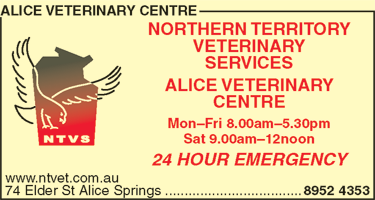 Alice Veterinary Centre - Sydney Vets 1
