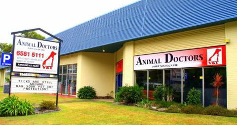 Animal Doctors Port Macquarie - Sydney Vets 1