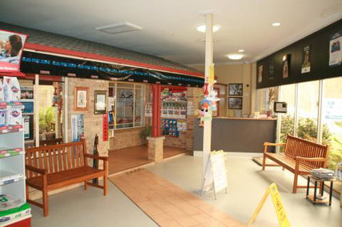 Animal Doctors Port Macquarie - Sydney Vets 2