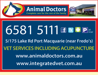 Animal Doctors Port Macquarie - Sydney Vets 4