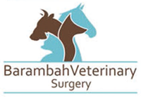 Barambah Veterinary Surgery
