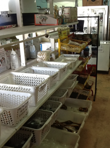 Bazza's Pet Shack - Sydney Vets 4