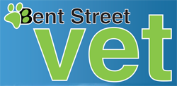 Bent St Vet - Sydney Vets 0