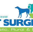 Boyne Tannum Veterinary Surgery - Sydney Vets