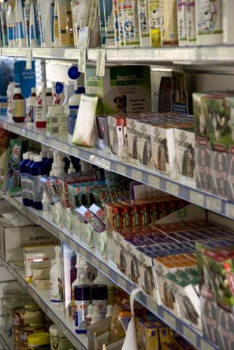 Cairns Veterinary Clinic - Sydney Vets 3