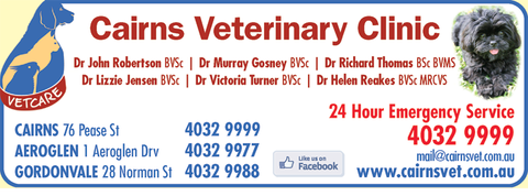 Cairns Veterinary Clinic - Sydney Vets 4