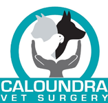 Caloundra Vet - Sydney Vets