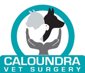 Caloundra Vet - Sydney Vets 0