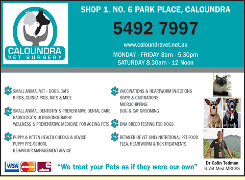 Caloundra Vet - Sydney Vets 4
