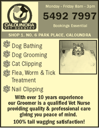 Caloundra Vet - Sydney Vets 5