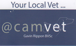 Waitui NSW Sydney Vets