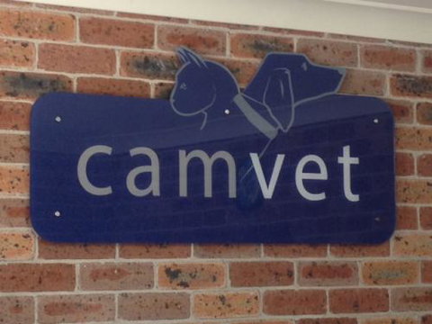 Camvet - Sydney Vets 2