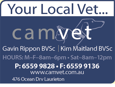 Camvet - Sydney Vets 3