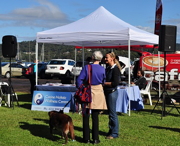 Canine Holistic Wellness Centre - Sydney Vets 5