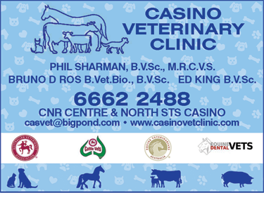 Casino Veterinary Clinic - Sydney Vets 1