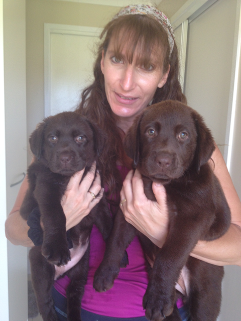 Colin Dry Veterinary Clinic - Sydney Vets 4