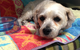 Colin Dry Veterinary Clinic - thumb 6