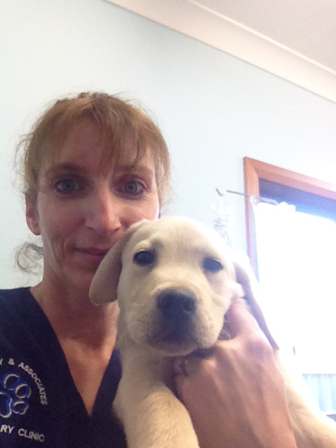 Colin Dry Veterinary Clinic - Sydney Vets 7