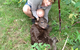 Colin Dry Veterinary Clinic - thumb 10