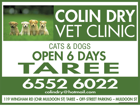 Colin Dry Veterinary Clinic - Sydney Vets 11