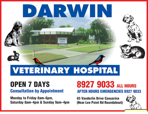 Darwin Veterinary Hospital - Sydney Vets 1