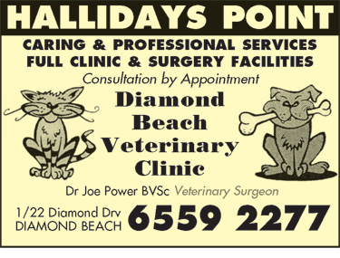 Diamond Beach Veterinary Clinic - Sydney Vets 2