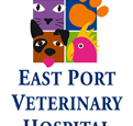 East Port Veterinary Hospital - Sydney Vets