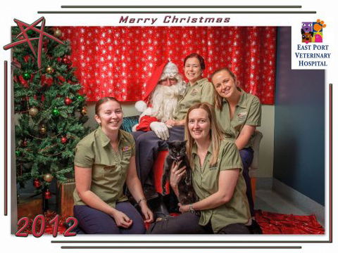 East Port Veterinary Hospital - Sydney Vets 1