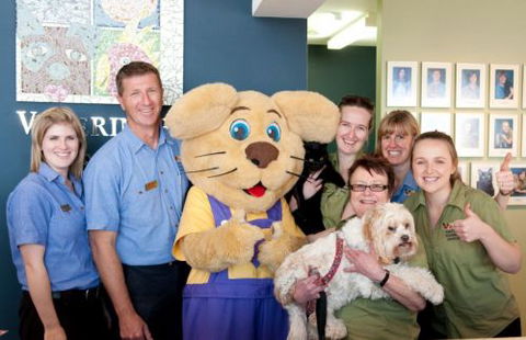 East Port Veterinary Hospital - Sydney Vets 3