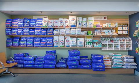 East Port Veterinary Hospital - Sydney Vets 4