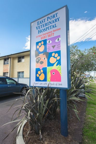 East Port Veterinary Hospital - Sydney Vets 5