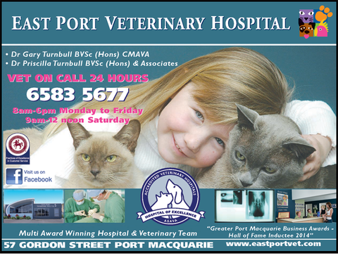 East Port Veterinary Hospital - Sydney Vets 6